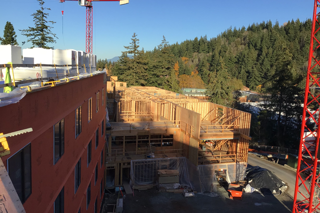 Partially built new residence hall with tower cranes against blue sky and pine trees